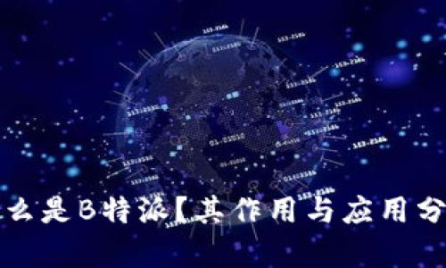 什么是B特派？其作用与应用分析