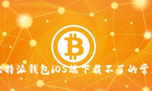 解决比特派钱包iOS端下载不了的常见问题