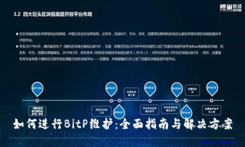 如何进行BitP维护：全面指南与解决方案