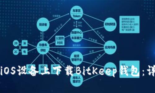 如何在iOS设备上下载BitKeep钱包：详细指南