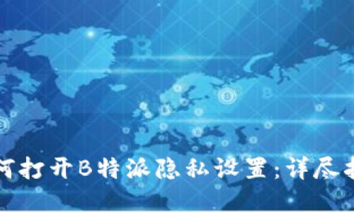 如何打开B特派隐私设置：详尽指南