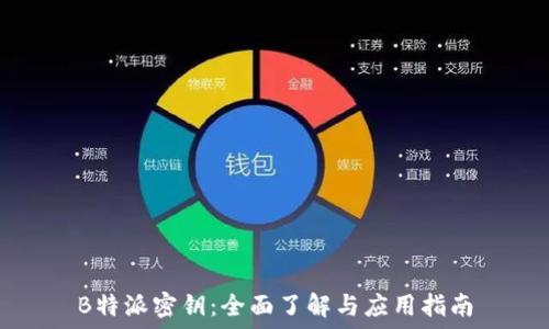   
B特派密钥：全面了解与应用指南