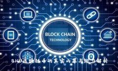 BHU区块链币的真实内幕与