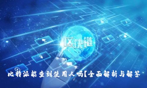 比特派能查到使用人吗？全面解析与解答