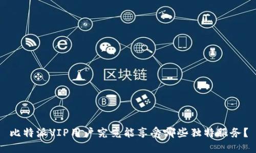 比特派VIP用户究竟能享受哪些独特服务？