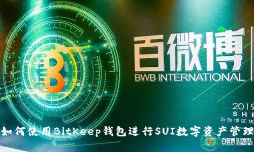 如何使用BitKeep钱包进行SUI数字资产管理
