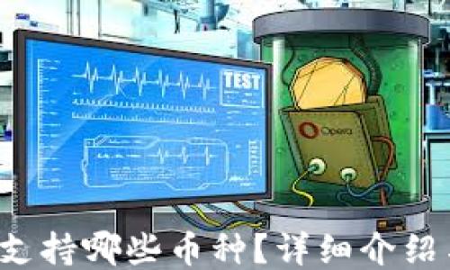 
b特派钱包支持哪些币种？详细介绍与使用指南