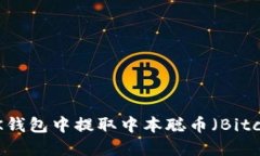 如何在BK钱包中提取中本聪