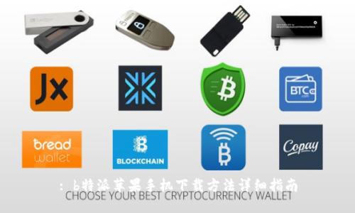 : b特派苹果手机下载方法详细指南