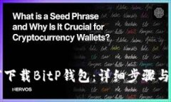如何下载BitP钱包：详细步