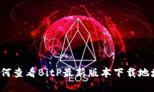 如何查看BitP最新版本下载地址？