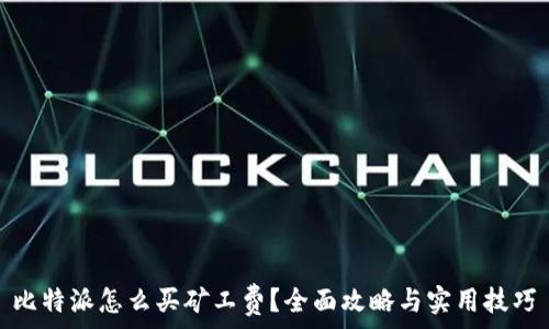   
比特派怎么买矿工费？全面攻略与实用技巧