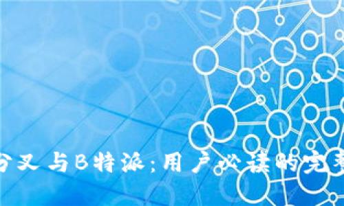 BCH分叉与B特派：用户必读的完整指南